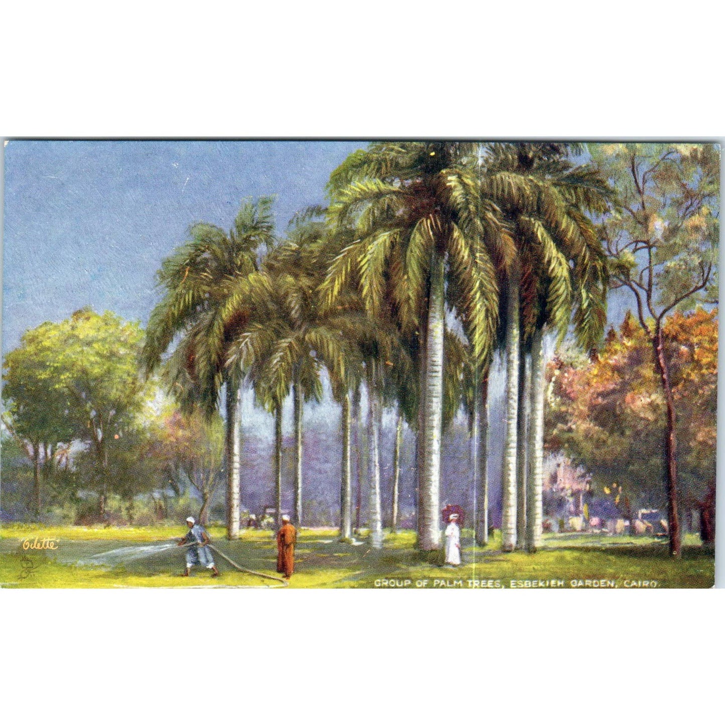 Egypt Ezbekieh Garden Raphael Tuck Oilette Original Postcard TK1-P17