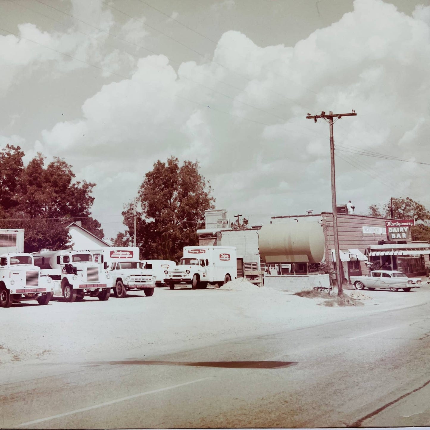 1950s Montgomery Dairy Products Troy, NC Dairy Bar Large Photo Print 16 x 20 FL1