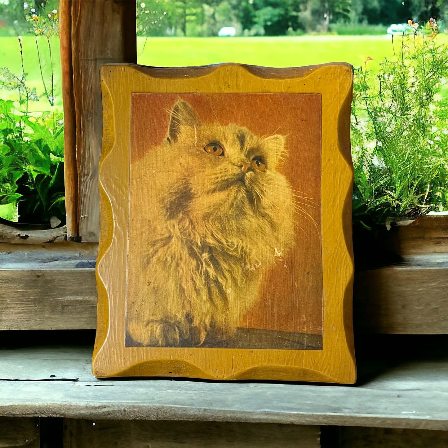 Vintage Retro Rustic Decoupage Photo of White Fluffy Cat on wood plank 8x9.5 TE5