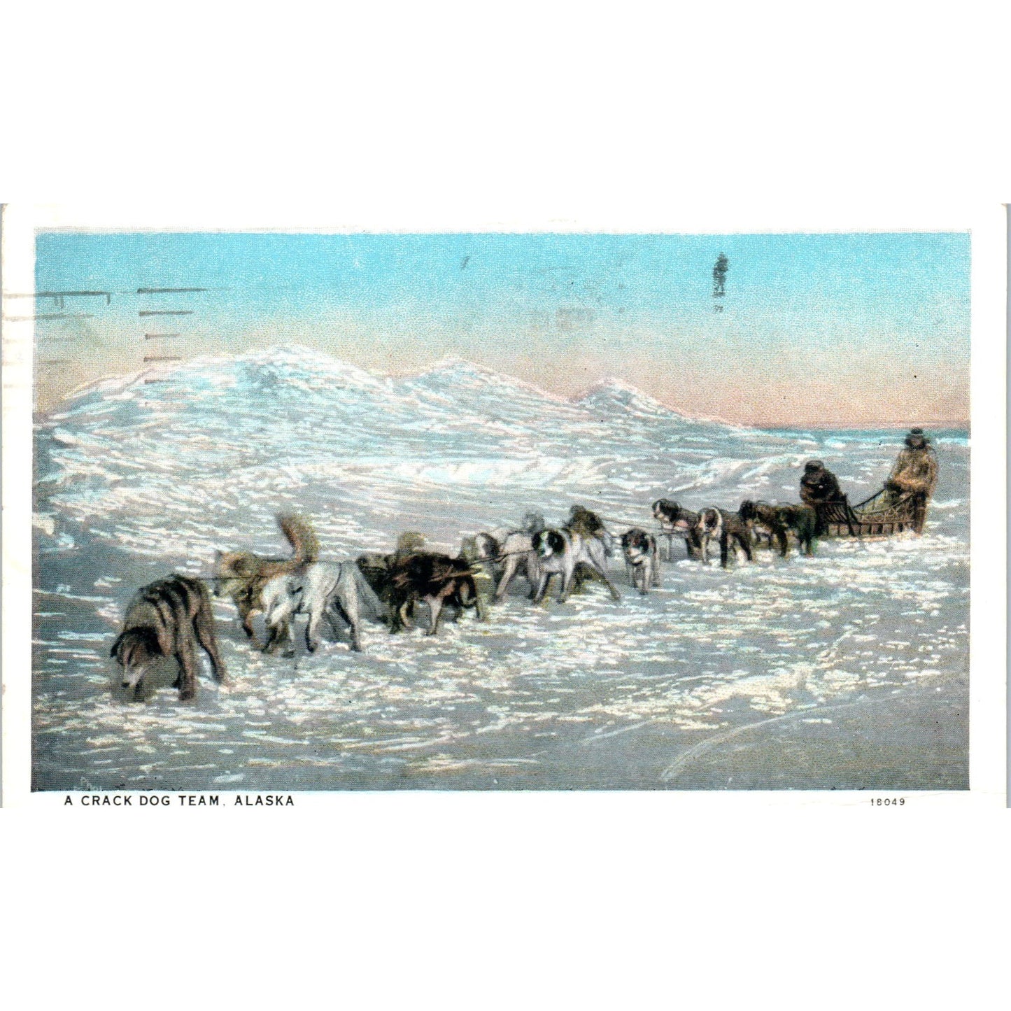 1950s Crack Sled Dog Team in Alaska Original Postcard P2-6
