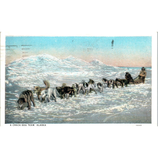 1950s Crack Sled Dog Team in Alaska Original Postcard P2-6