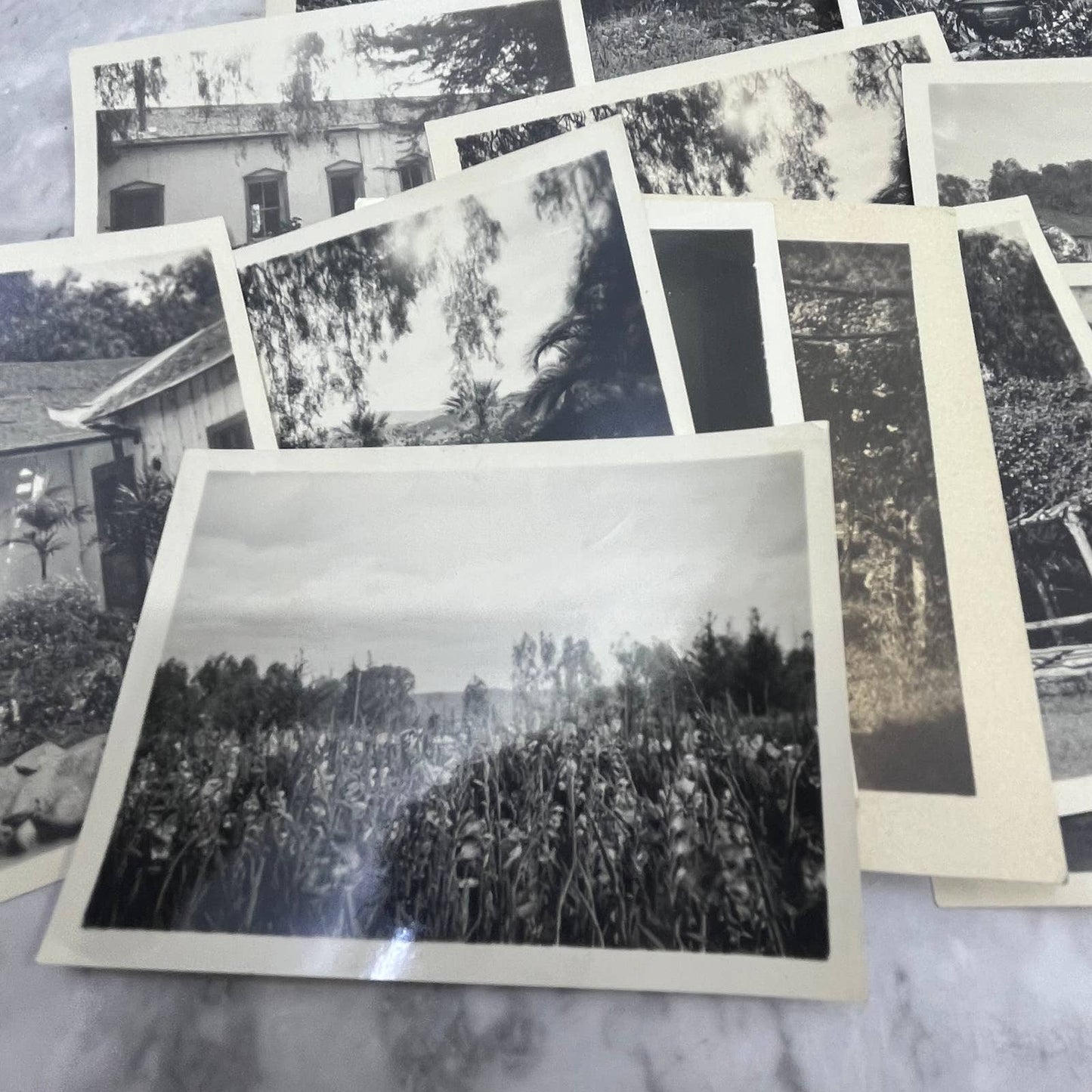 c1920 Collection of Photos & Negatives San Dieguito Rancho at Del Mar CA TJ9-PG2