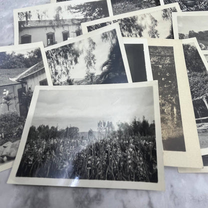 c1920 Collection of Photos & Negatives San Dieguito Rancho at Del Mar CA TJ9-PG2