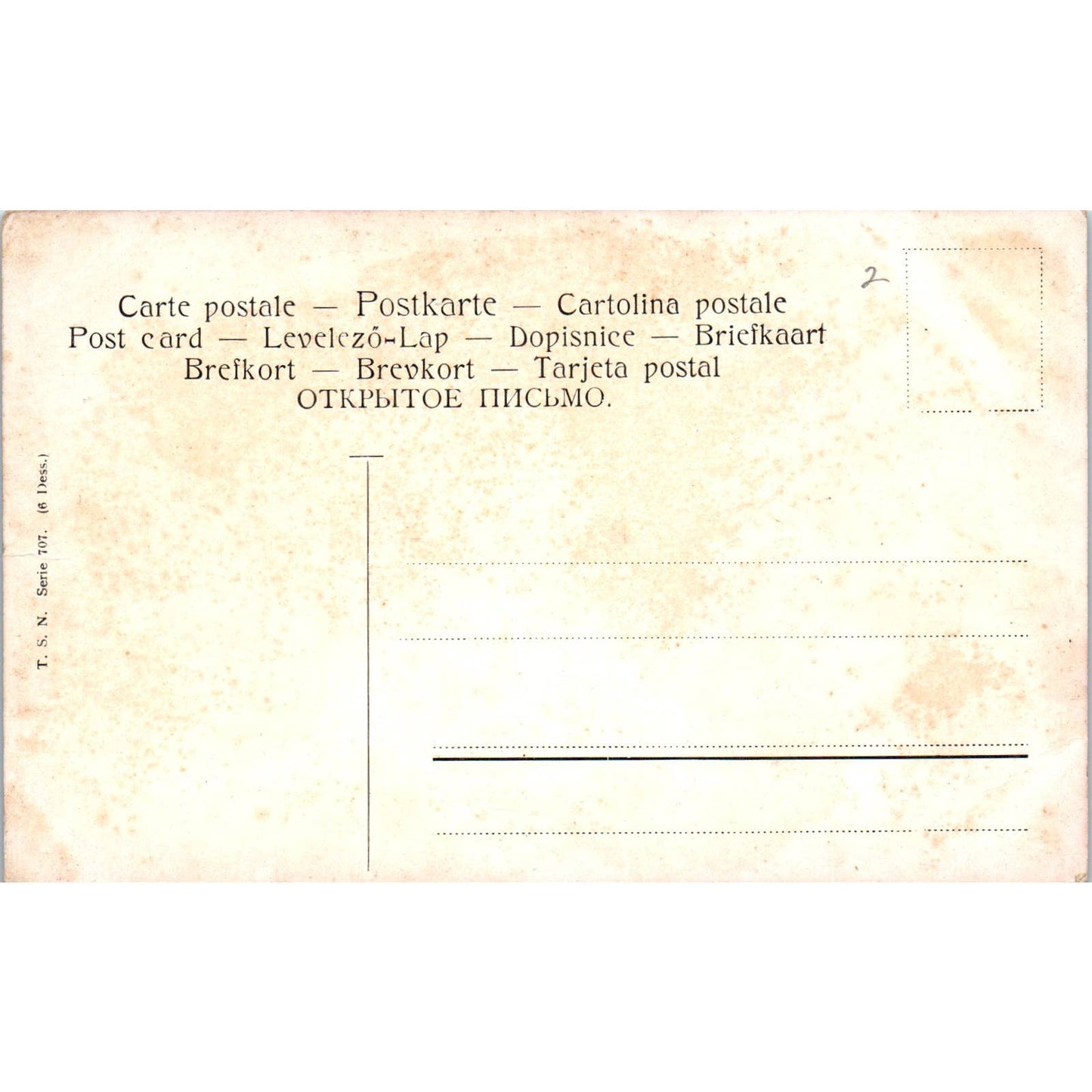 Saint Bernard Dogs Painting French Original Postcard TK1-27