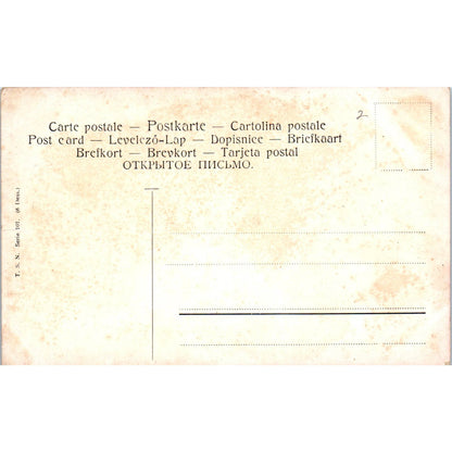 Saint Bernard Dogs Painting French Original Postcard TK1-27