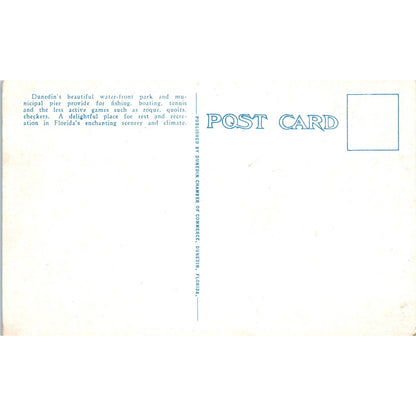 Tennis Courts at Dunedin's Park Original Postcard TK1-23