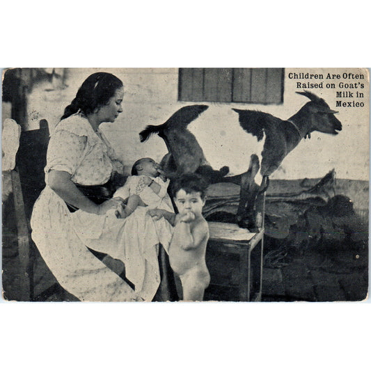 Children Nursing From a Goat in Mexico RPPC Original Postcard P2-1