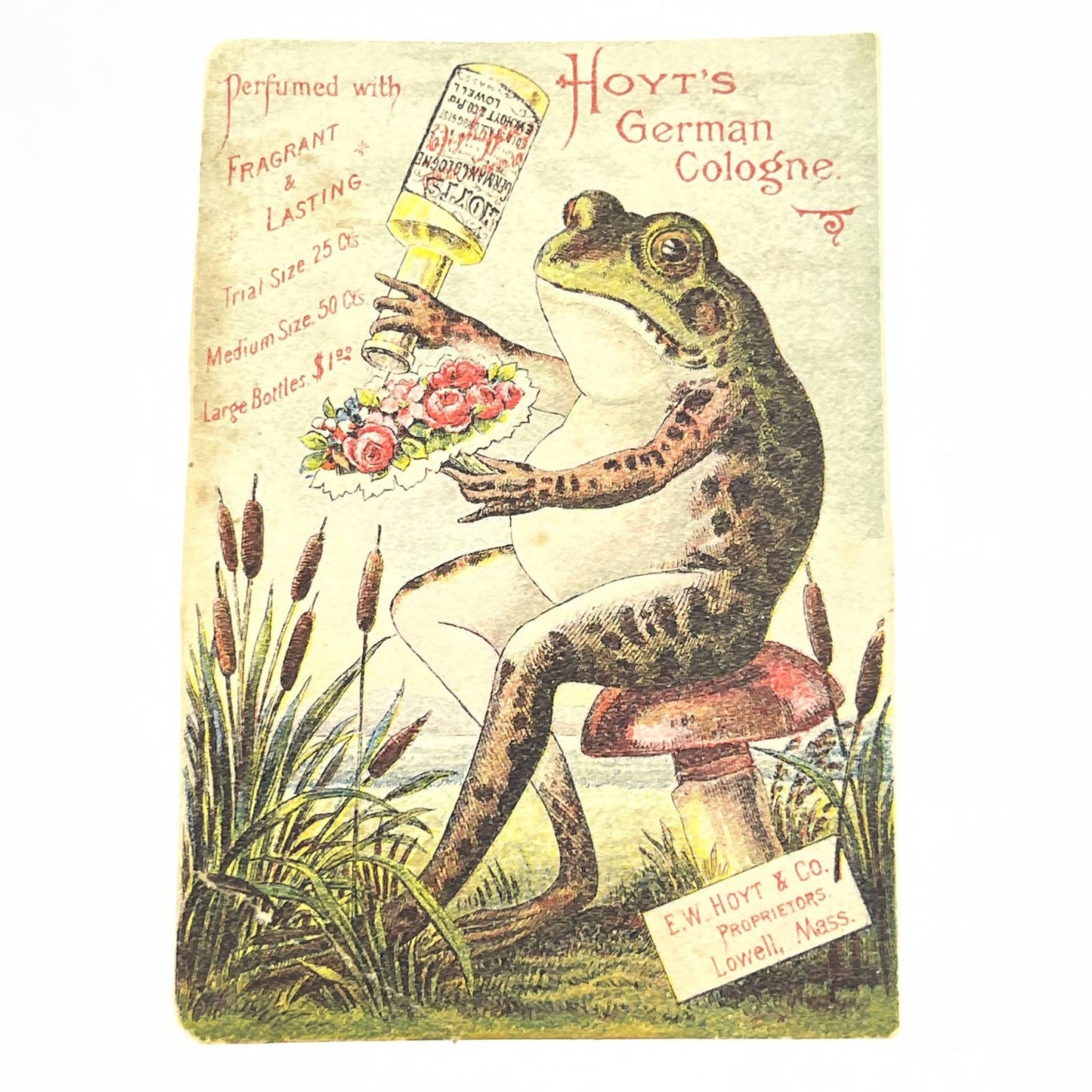 1880s Victorian Trade Card Hoyt's German Cologne Lowell Anthropomorphic Frog AC2