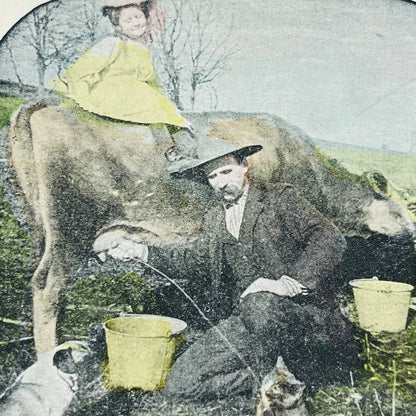 c1890 Stereoview Hand Tinted Victorian Man Squirting Cow Milk At Cat & Pug Dog