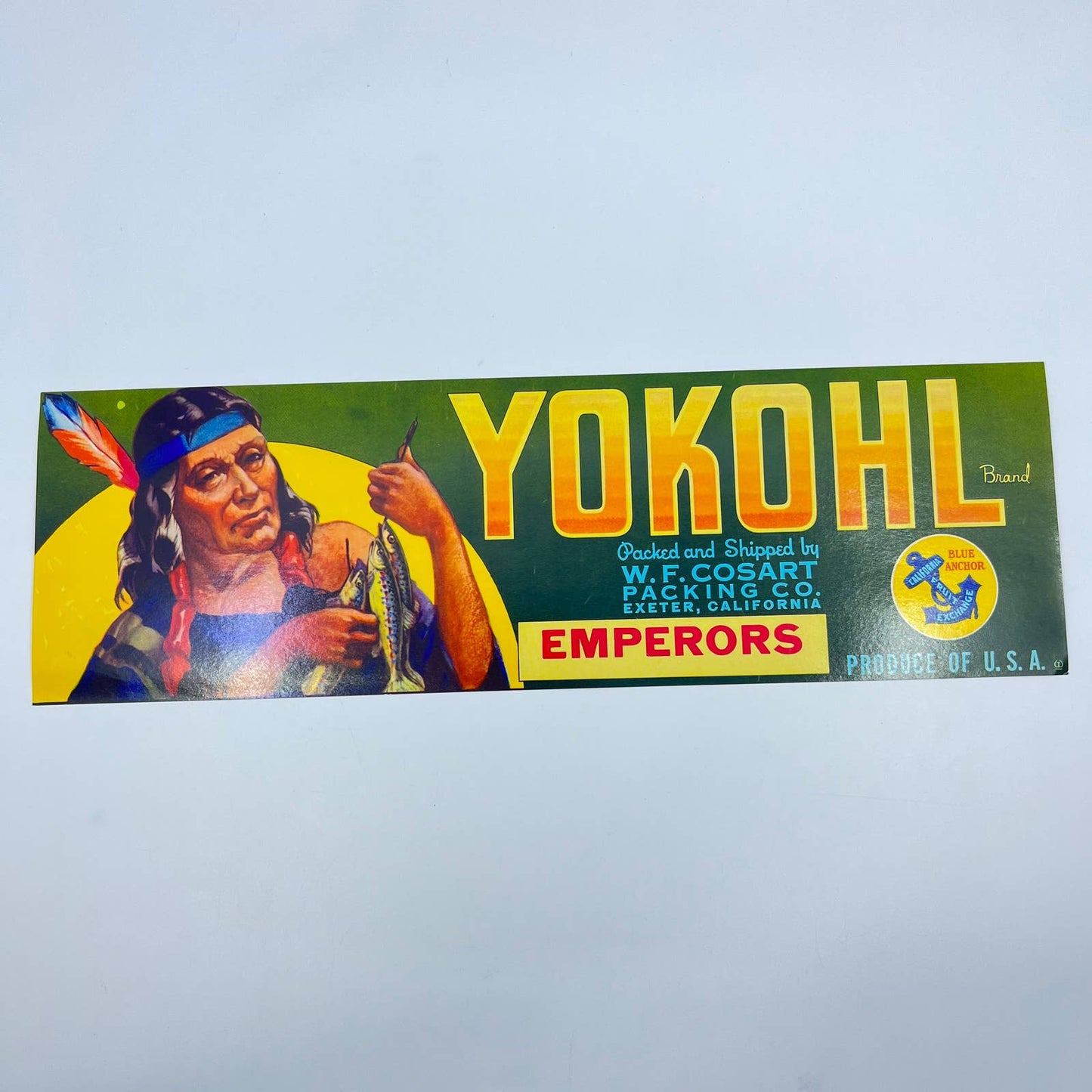 Original Unused Yokohl Fruit Crate Label Native American Indian Fishing FL3