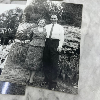 1956 Photographs of Frank Davis at Sherwood Gardens Baltimore MD P4-9