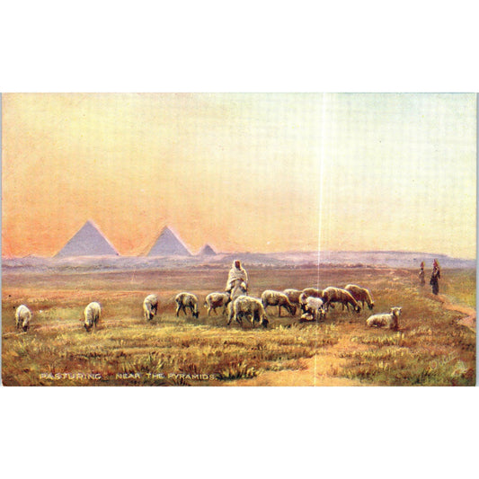 Egypt Pasturing the Pyramids Raphael Tuck Oilette Original Postcard P2-12