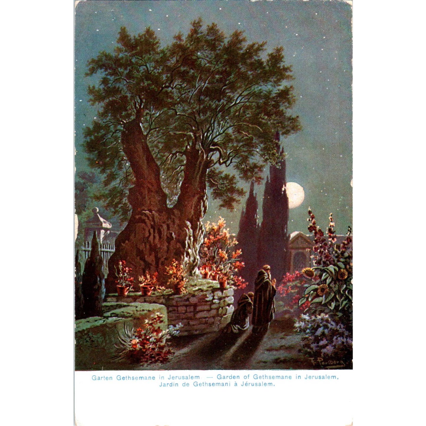 Garden of Gethsemane in Jerusalem c1910 Original Postcard TK1-24