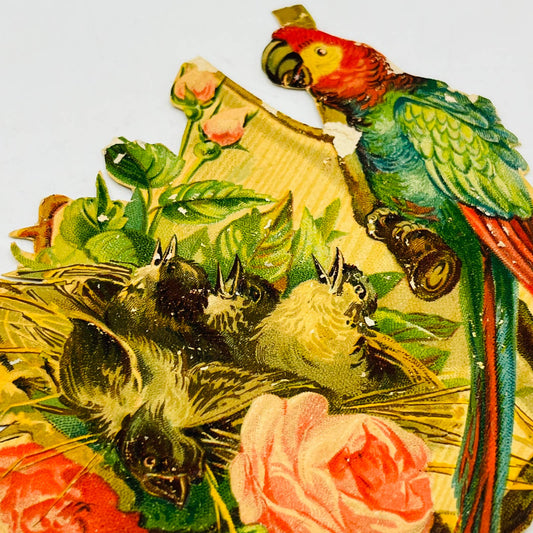 1880s Embossed Victorian Die Cut Parrot Feeding Babies Pink Roses 6 x 4” AA2