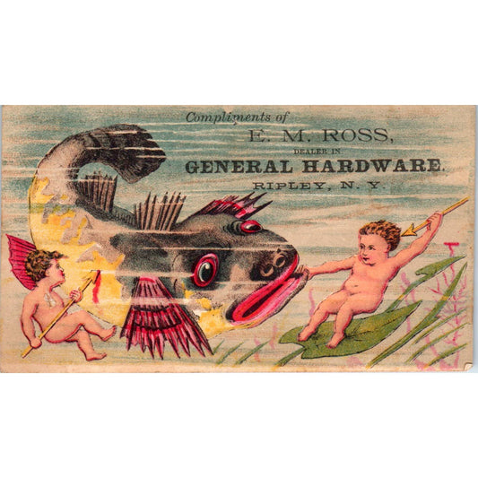 1880s Trade Card E.M. Ross Hardware Ripley NY Fantasy Cherub Tropical Fish SF2-5