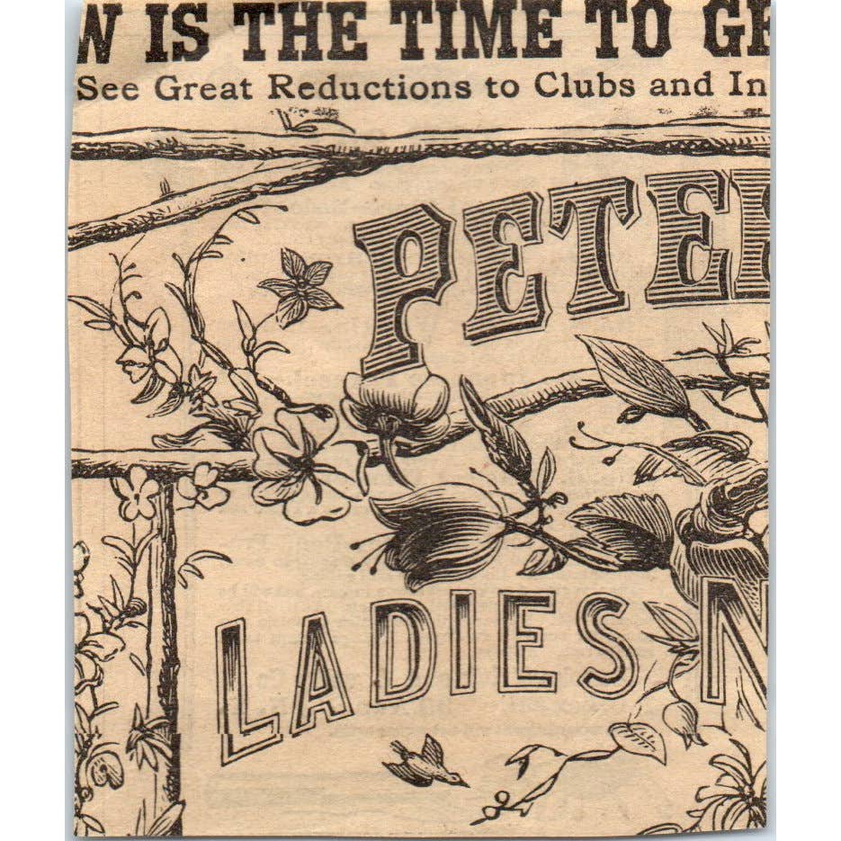 1878 Peterson's Magazine Ad - Eureka Trick and Novelty Co. Ann Street NY SF2