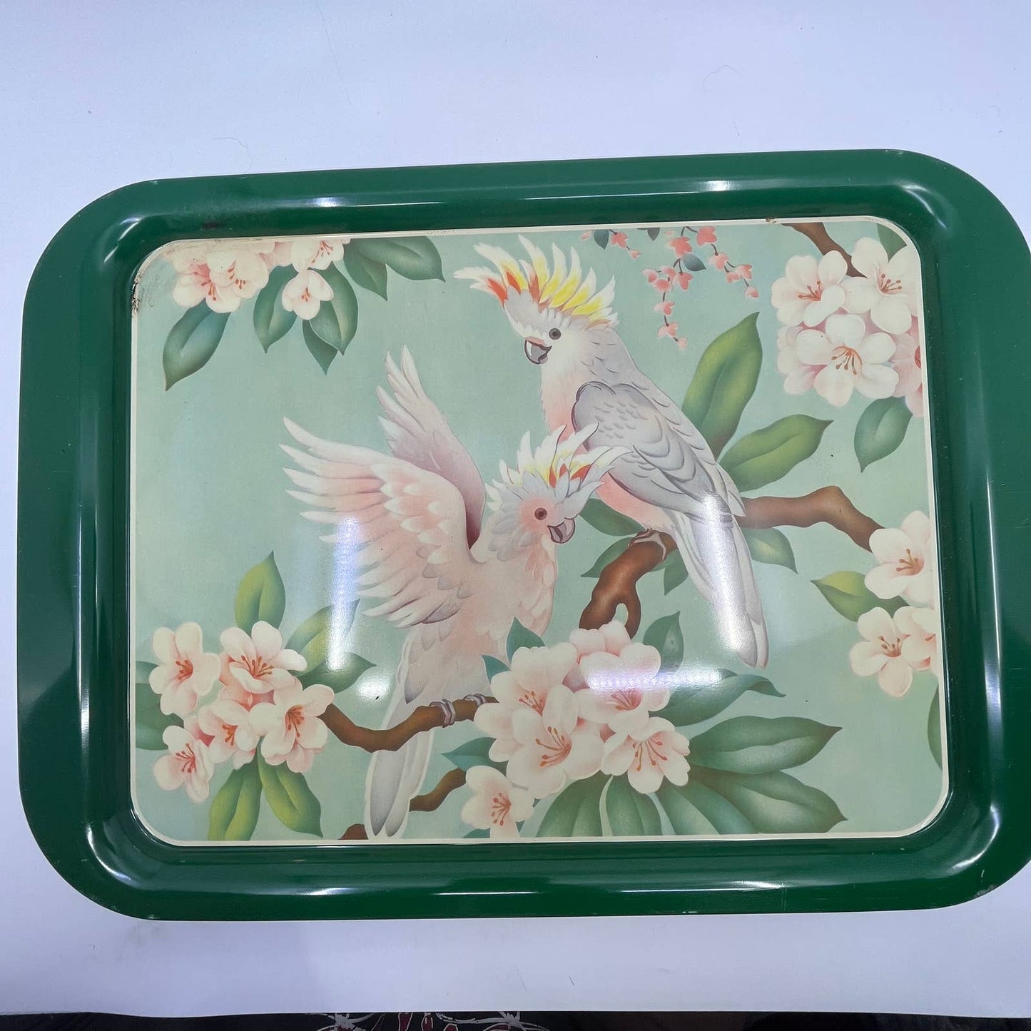 1950's Set of 4 MCM Cockatiel Tropical Toleware Tin Litho Trays 17.5 x 13” TH9-1