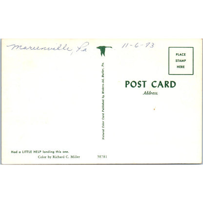 Fishing; Crane Holding Giant Fish 1970s - Original Postcard TJ9-P1