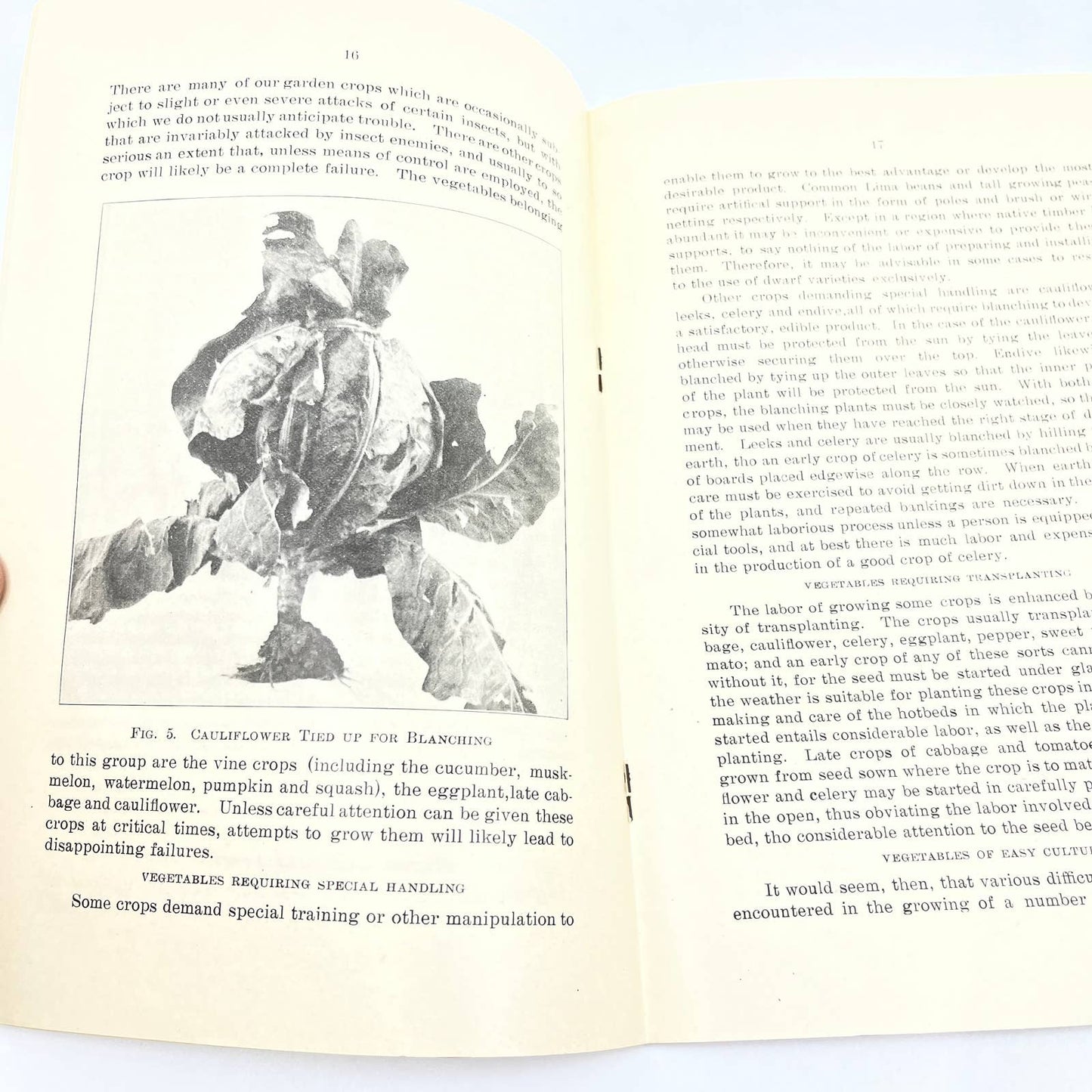 1911 University Of Illinois Urbana Circular 154 Home Vegetable Garden TF9