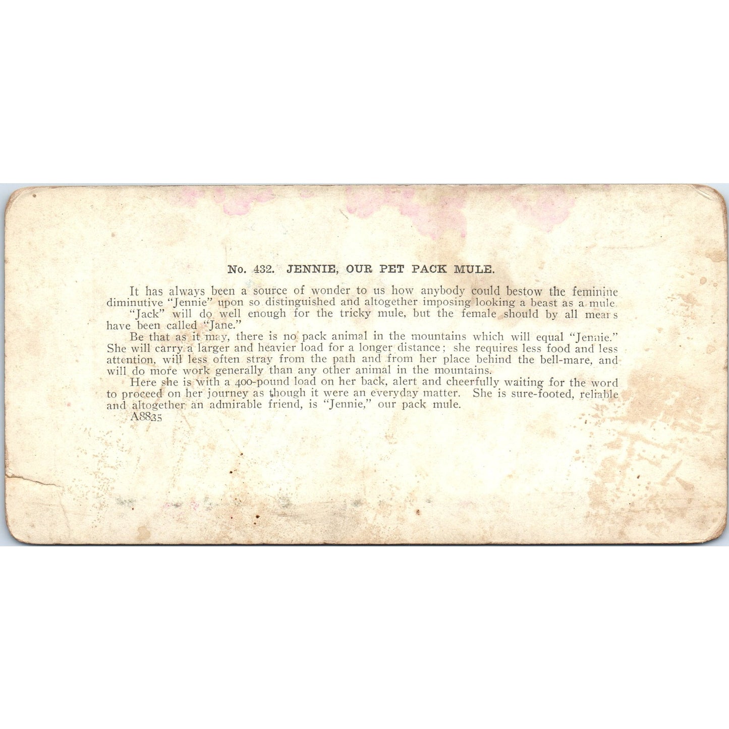 Jennie Our Pet Pack Mule - Antique Stereoview Card H3-2
