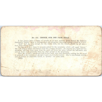 Jennie Our Pet Pack Mule - Antique Stereoview Card H3-2