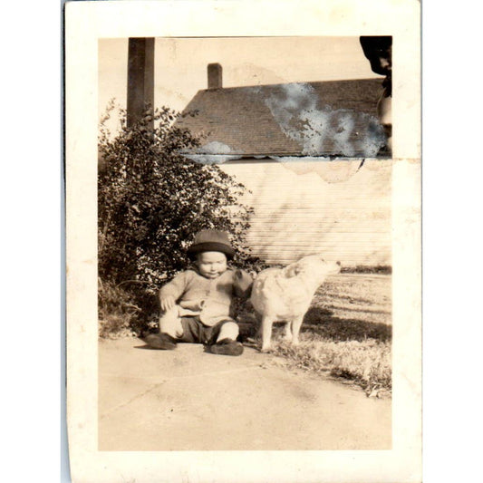 1940s Photograph Little Boy Toddler With Shepherd Dog 2.5x3" SE5