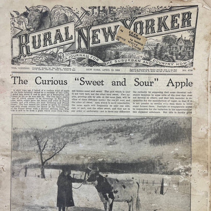 1924 The Rural New Yorker Magazine April 12 The Curious Sweet & Sour Apple FL4