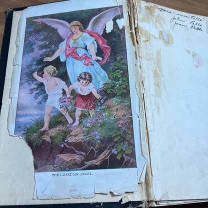 Eugenics The Laws of Sex Life and Heredity By Dr. W.J. Truitt 1916 TH8