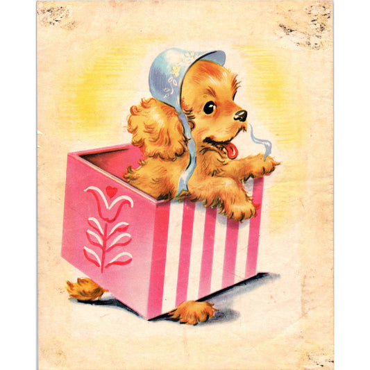 Vintage Kitschy Print Double Sided Puppy in Gift Box Horse 7.5x9.5 TJ1-2