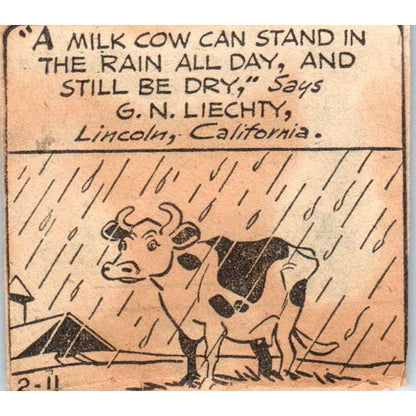 1940s Clipped Comic Farming Cartoon Cow Can Stand in Rain, Still Be Dry 1.5" SF2