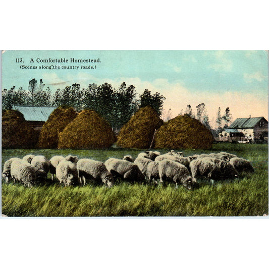 A Comfortable Homestead c1910 Original Postcard TK1-21