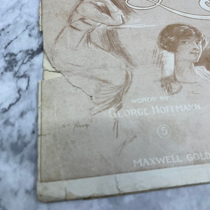 1911 Sheet Music Could You Learn to Love Me Dearie Maxwell Goldman V38