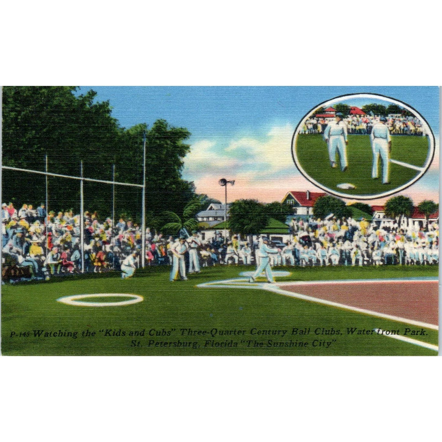 Kids & Cubs Baseball Clubs Waterfront Park St. Petersburg FL Postcard TK1-23