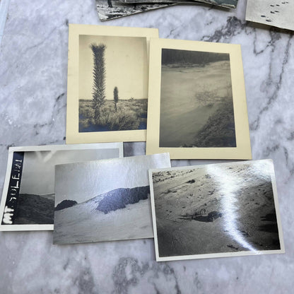 1920s Collection of Photos & Negatives of California Landscape Views TJ8