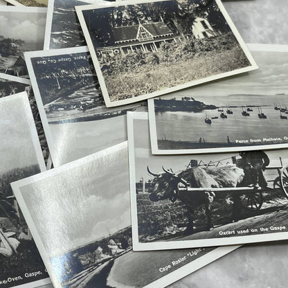 1930s Collection of Photos & Negatives Gaspe French Canada Quebec Trip TJ9-PG5
