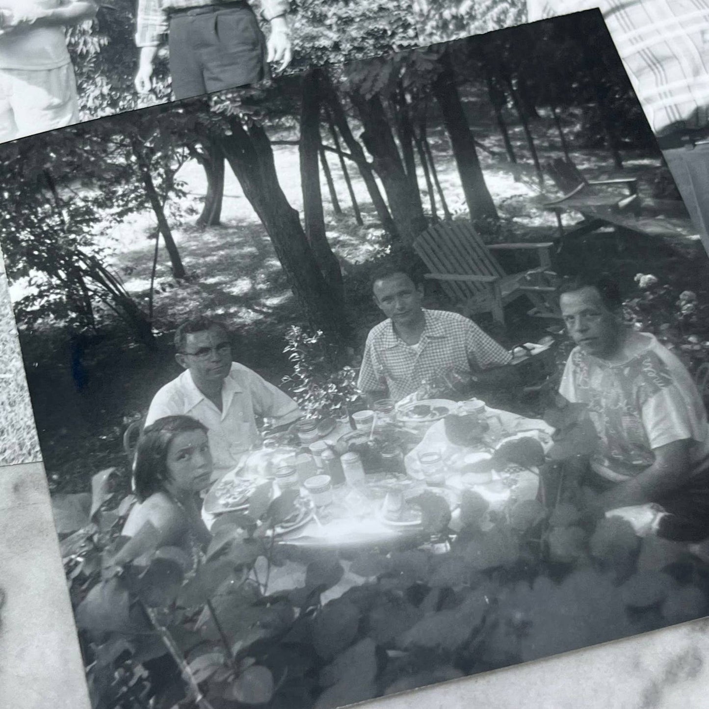 1956 Collection of Photos & Negatives Warren Dean Black With His Cat TJ9-PG3