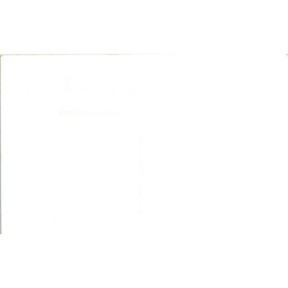 Antique Postcard RPPC Garden At Grand Coulee Dam Washington TD9