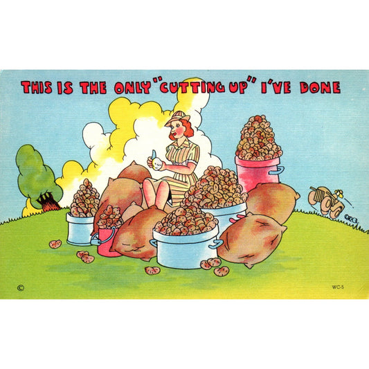 Women in the Military WW2 Humor Peeling Potatoes WAC Original Postcard P2-10