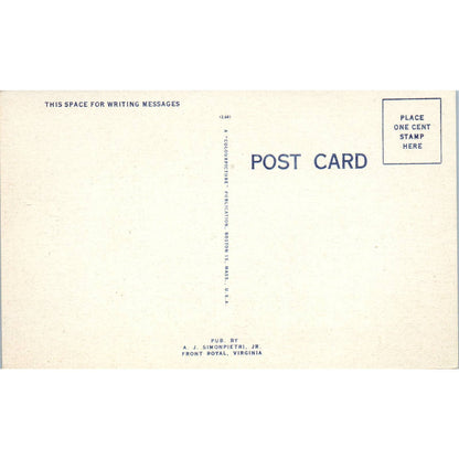 Giant Apple Shenandoah Valley Virginia Original Postcard TK1-24