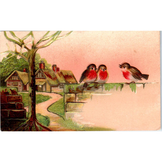 Robins Birds Embossed Air Brushed 1907 Original Postcard TK1-28
