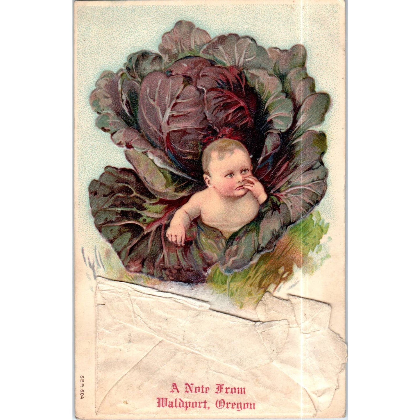 A Note From Waldport Oregon Baby in Cabbage 1910 Original Postcard TK1-P15