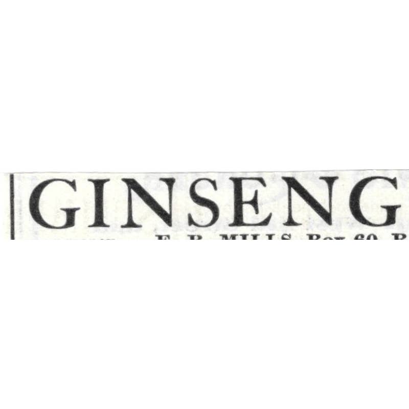 Ginseng F.B. Mills Rose Hill New York - 1903 Original Ad TJ8-7-3