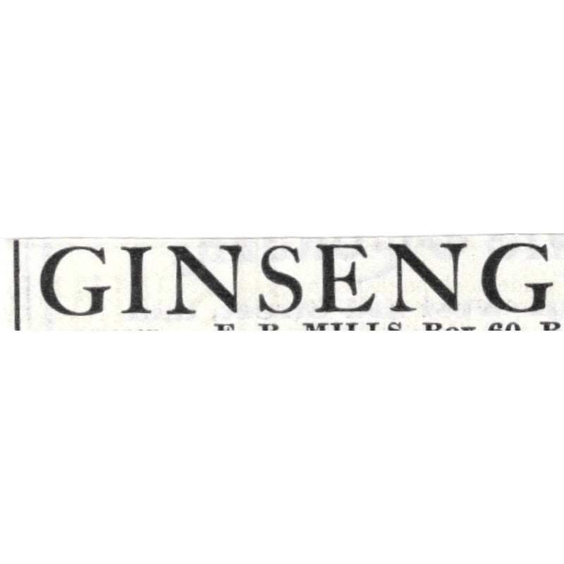 Ginseng F.B. Mills Rose Hill New York - 1903 Original Ad AK5-S29