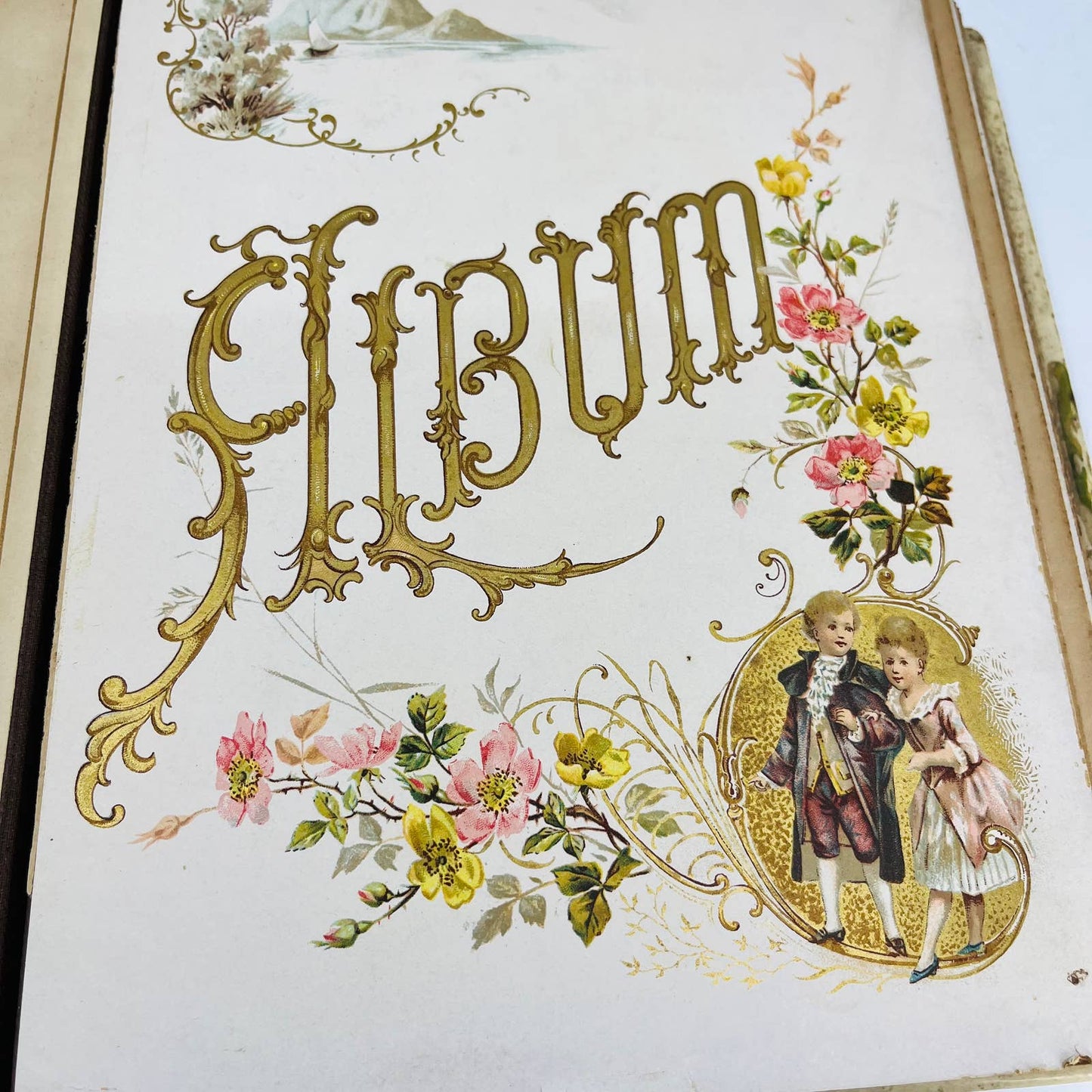 1880s Victorian Photo Album “Floral Album” Ornate Pages 10.5 x 9” TB6