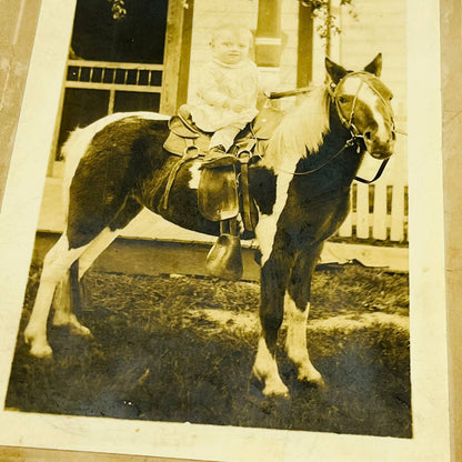 1900s Victorian Photograph Young Toddler Riding Pony Chicago IL 3.5 x 5” C10