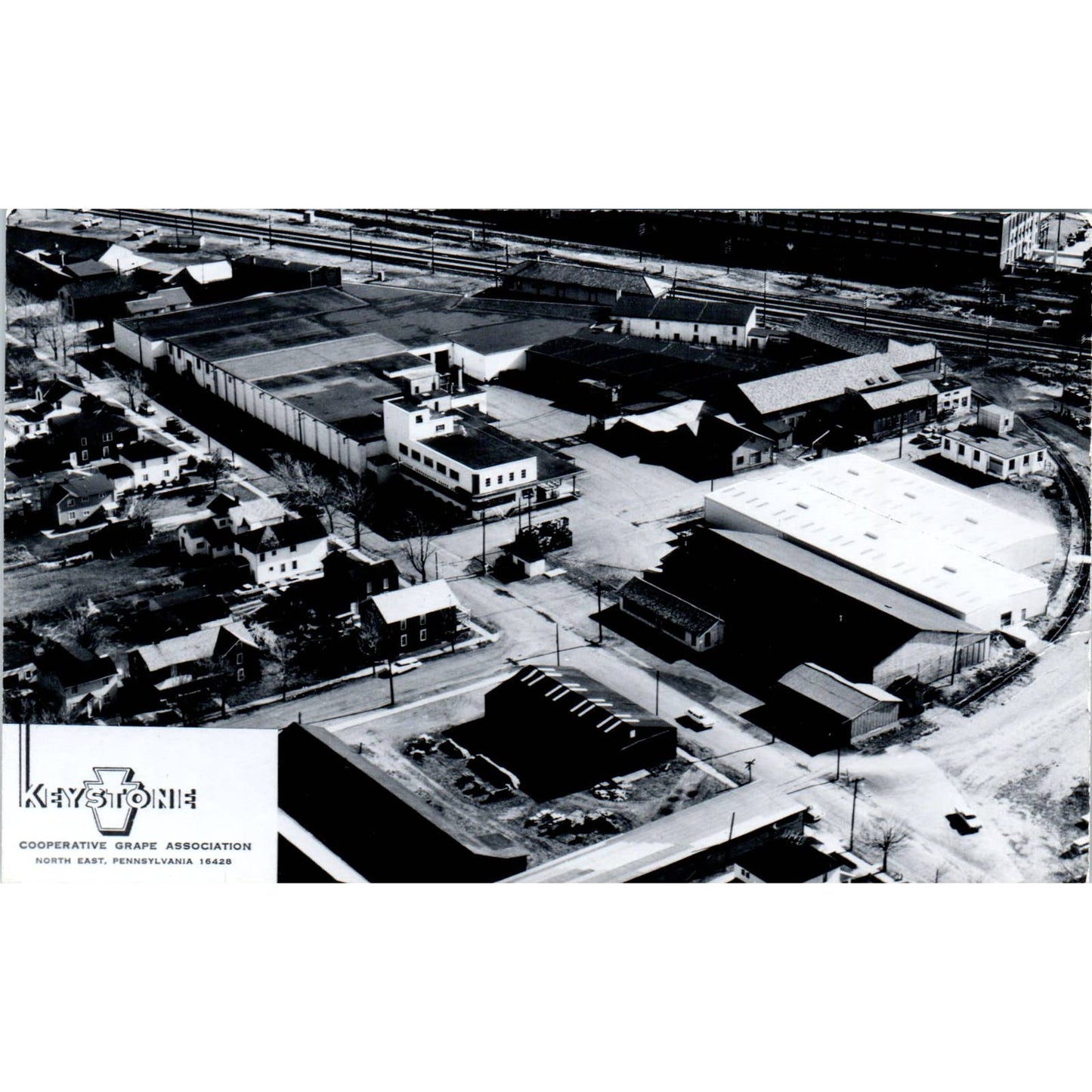 Vintage Postcard Keystone Cooperative Grape Association North East PA TD8-P2