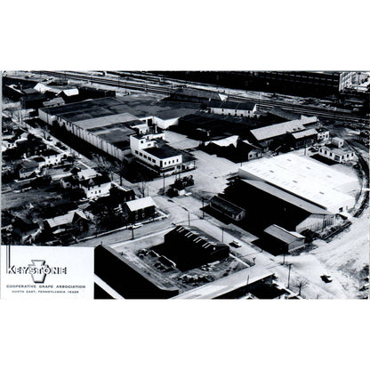 Vintage Postcard Keystone Cooperative Grape Association North East PA TD8-P2