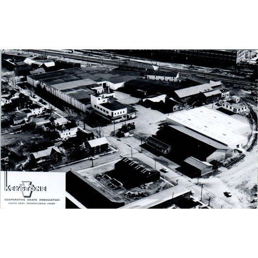 Vintage Postcard Keystone Cooperative Grape Association North East PA TD8-P2