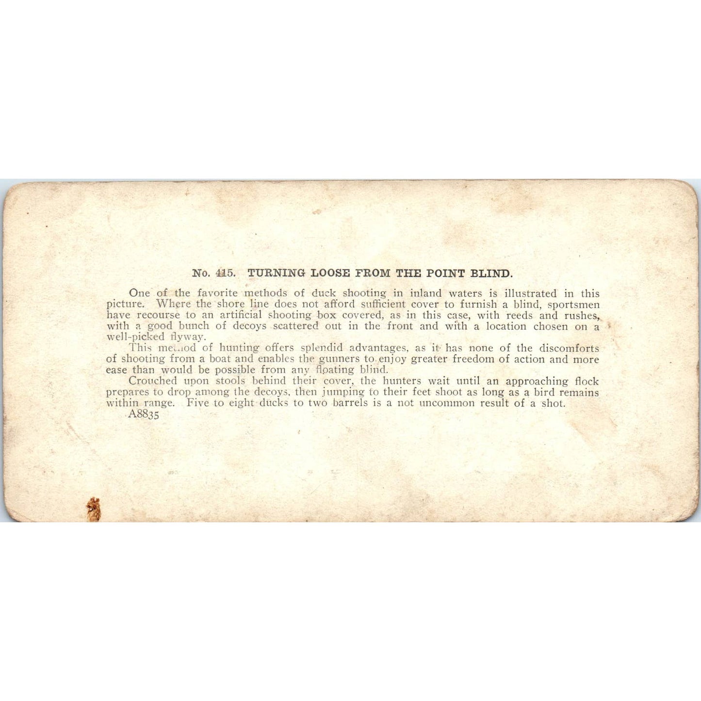 Victorian Duck Hunting - Turning Loose From Point Blind - Stereoview Card TJ1-C1