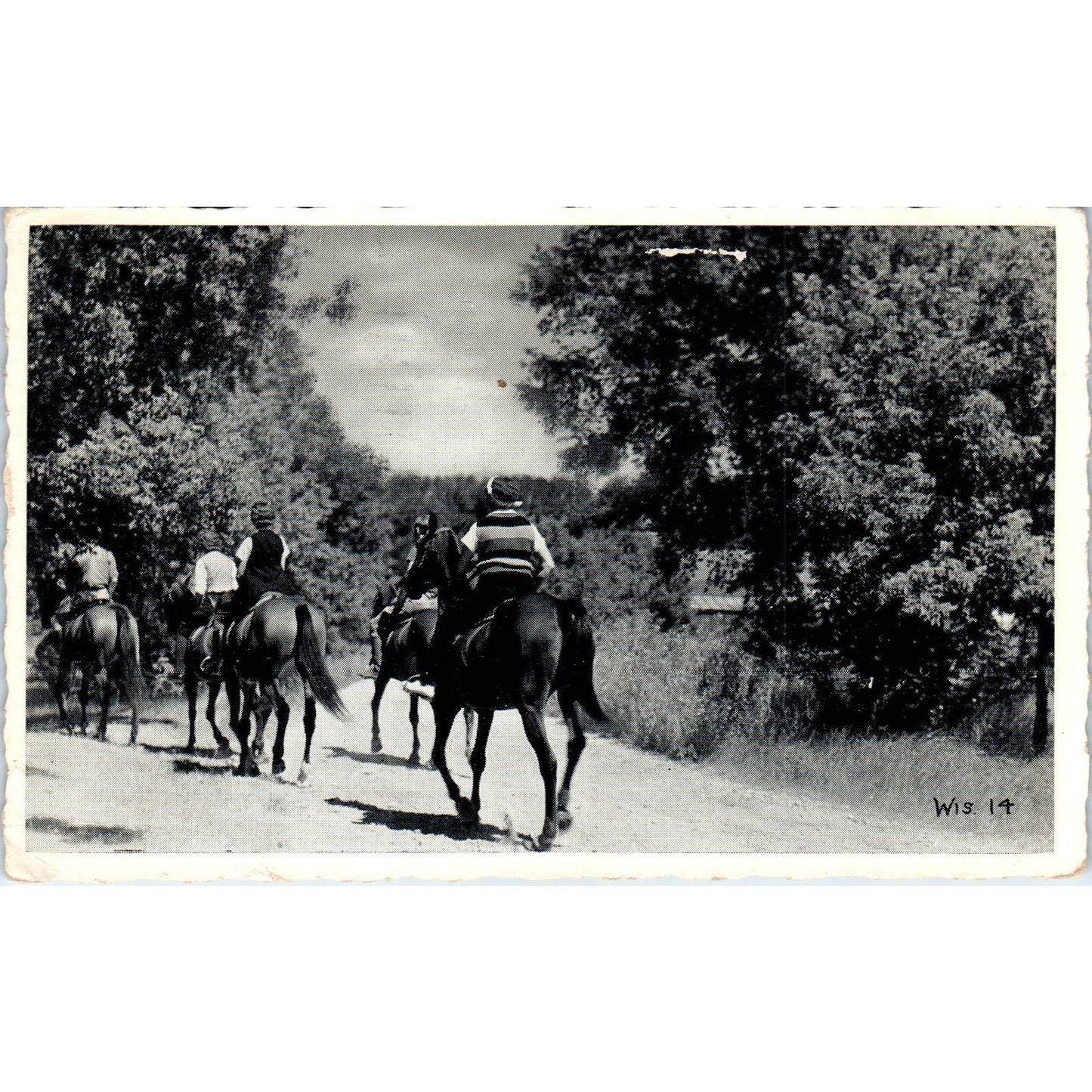 Horseback Riding in Wisconsin 1940 Original Postcard TJ9-P3